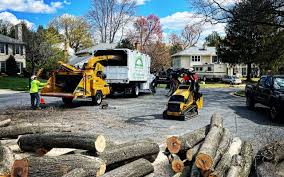 Best Lawn Watering Services  in Mojave, CA